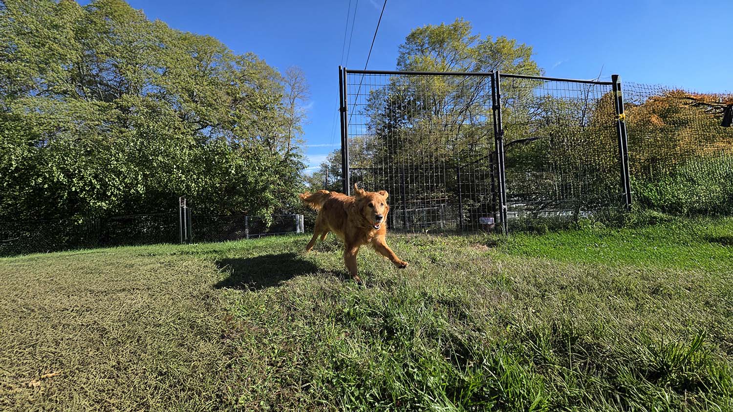 Happy Spot Pet Resort - Image 1